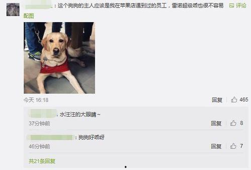 武汉王先生最新爆料视频,揭秘事件背后惊人真相